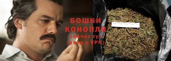 индика Пересвет