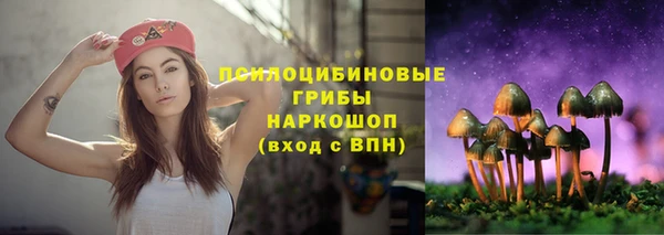 PSILOCYBIN Арсеньев