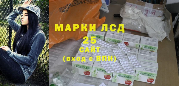 индика Пересвет