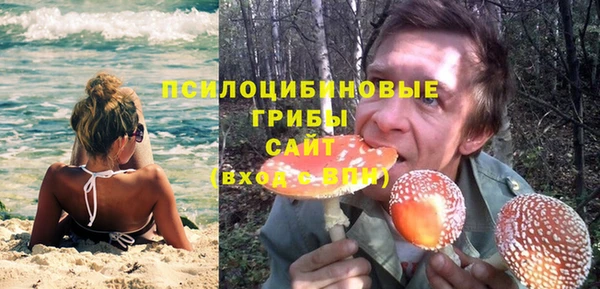 прущая мука Аркадак