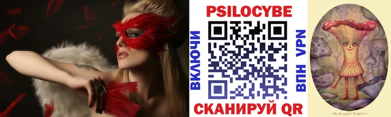 Галлюциногенные грибы Psilocybine cubensis  Моздок 