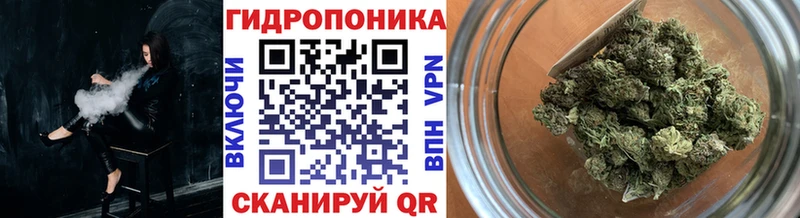 Канабис семена  Моздок 